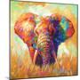 Colorful Elephant-Leon Devenice-Mounted Art Print