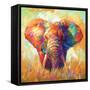 Colorful Elephant-Leon Devenice-Framed Stretched Canvas
