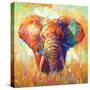 Colorful Elephant-Leon Devenice-Stretched Canvas
