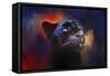 Colorful Expressions Black Leopard-Jai Johnson-Framed Stretched Canvas