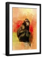 Colorful Expressions Black Monkey-Jai Johnson-Framed Premium Giclee Print