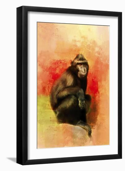 Colorful Expressions Black Monkey-Jai Johnson-Framed Premium Giclee Print