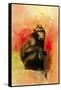 Colorful Expressions Black Monkey-Jai Johnson-Framed Stretched Canvas