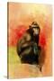 Colorful Expressions Black Monkey-Jai Johnson-Stretched Canvas