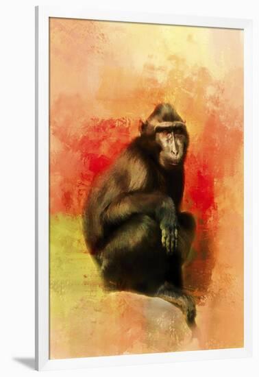 Colorful Expressions Black Monkey-Jai Johnson-Framed Giclee Print