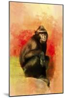 Colorful Expressions Black Monkey-Jai Johnson-Mounted Giclee Print