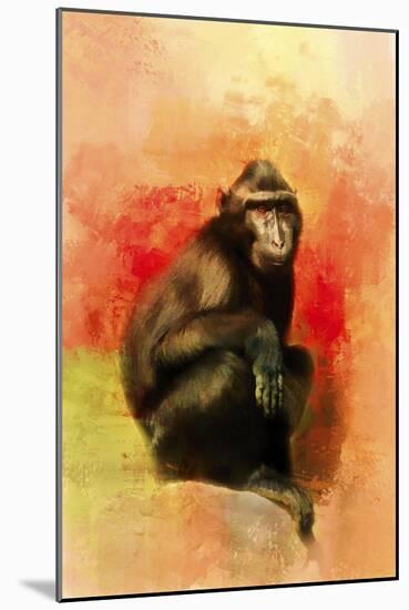 Colorful Expressions Black Monkey-Jai Johnson-Mounted Giclee Print