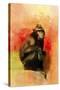 Colorful Expressions Black Monkey-Jai Johnson-Stretched Canvas