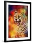 Colorful Expressions Cheetah 2-Jai Johnson-Framed Giclee Print