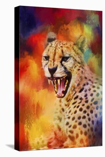 Colorful Expressions Cheetah 2-Jai Johnson-Stretched Canvas