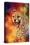 Colorful Expressions Cheetah 2-Jai Johnson-Stretched Canvas