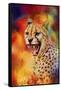 Colorful Expressions Cheetah 2-Jai Johnson-Framed Stretched Canvas