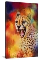 Colorful Expressions Cheetah 2-Jai Johnson-Stretched Canvas