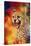 Colorful Expressions Cheetah 2-Jai Johnson-Stretched Canvas