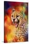 Colorful Expressions Cheetah 2-Jai Johnson-Stretched Canvas