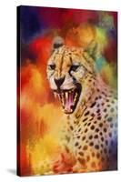 Colorful Expressions Cheetah 2-Jai Johnson-Stretched Canvas