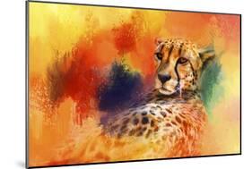 Colorful Expressions Cheetah-Jai Johnson-Mounted Giclee Print