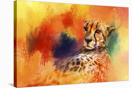 Colorful Expressions Cheetah-Jai Johnson-Stretched Canvas