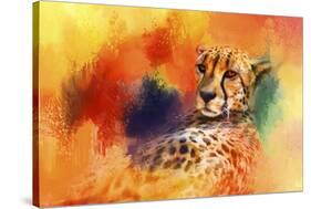 Colorful Expressions Cheetah-Jai Johnson-Stretched Canvas
