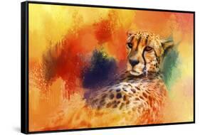 Colorful Expressions Cheetah-Jai Johnson-Framed Stretched Canvas