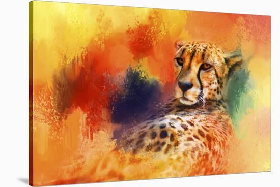 Colorful Expressions Cheetah-Jai Johnson-Stretched Canvas