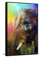 Colorful Expressions Elephant-Jai Johnson-Framed Stretched Canvas