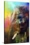 Colorful Expressions Elephant-Jai Johnson-Stretched Canvas