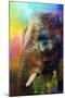 Colorful Expressions Elephant-Jai Johnson-Mounted Giclee Print