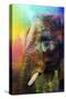 Colorful Expressions Elephant-Jai Johnson-Stretched Canvas