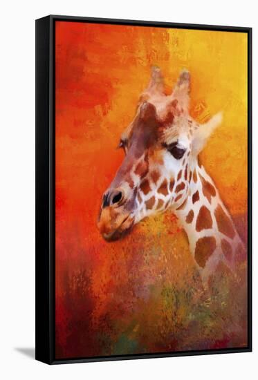 Colorful Expressions Giraffe-Jai Johnson-Framed Stretched Canvas