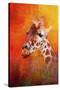 Colorful Expressions Giraffe-Jai Johnson-Stretched Canvas