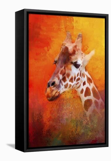 Colorful Expressions Giraffe-Jai Johnson-Framed Stretched Canvas