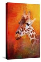 Colorful Expressions Giraffe-Jai Johnson-Stretched Canvas