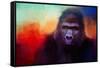 Colorful Expressions Gorilla-Jai Johnson-Framed Stretched Canvas