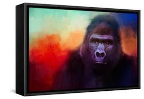 Colorful Expressions Gorilla-Jai Johnson-Framed Stretched Canvas