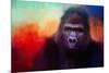 Colorful Expressions Gorilla-Jai Johnson-Mounted Giclee Print