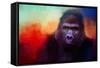 Colorful Expressions Gorilla-Jai Johnson-Framed Stretched Canvas