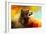 Colorful Expressions Grizzly Bear 2-Jai Johnson-Framed Giclee Print