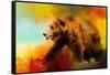 Colorful Expressions Grizzly Bear-Jai Johnson-Framed Stretched Canvas