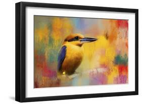 Colorful Expressions King Fisher-Jai Johnson-Framed Giclee Print