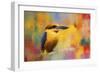 Colorful Expressions King Fisher-Jai Johnson-Framed Giclee Print