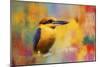 Colorful Expressions King Fisher-Jai Johnson-Mounted Giclee Print