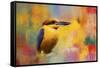 Colorful Expressions King Fisher-Jai Johnson-Framed Stretched Canvas