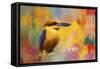 Colorful Expressions King Fisher-Jai Johnson-Framed Stretched Canvas