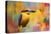 Colorful Expressions King Fisher-Jai Johnson-Stretched Canvas