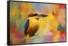 Colorful Expressions King Fisher-Jai Johnson-Framed Stretched Canvas