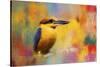 Colorful Expressions King Fisher-Jai Johnson-Stretched Canvas