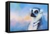 Colorful Expressions Lemur-Jai Johnson-Framed Stretched Canvas