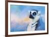 Colorful Expressions Lemur-Jai Johnson-Framed Giclee Print