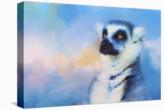 Colorful Expressions Lemur-Jai Johnson-Stretched Canvas